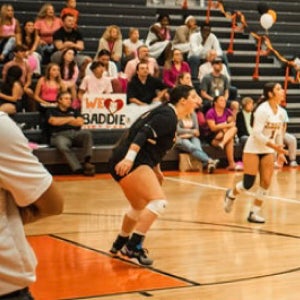 undefined undefined profile photo