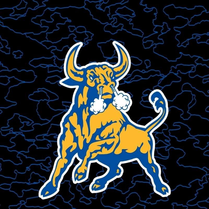 Darrell Pender mugshot