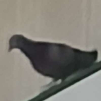 undefined undefined profile photo