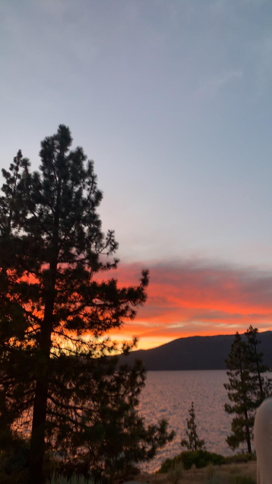 Piper BoGray mugshot