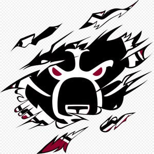 Heath Sigmon mugshot