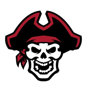 Eric Wilson Jr mugshot