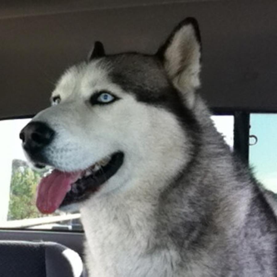 undefined undefined profile photo