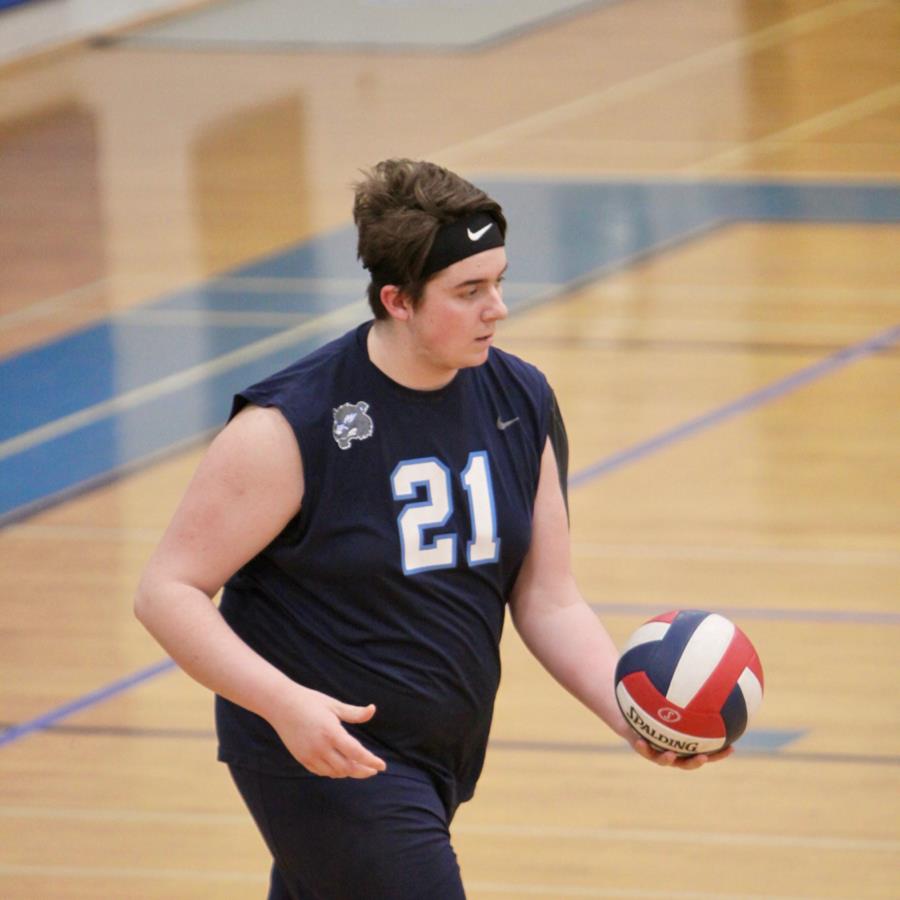 Lisa Suttile mugshot