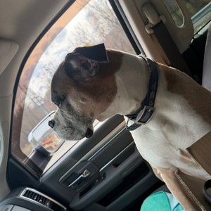 undefined undefined profile photo
