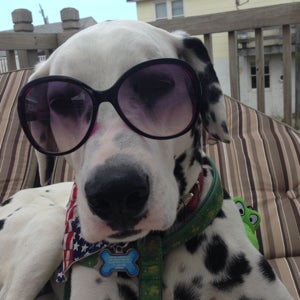 undefined undefined profile photo