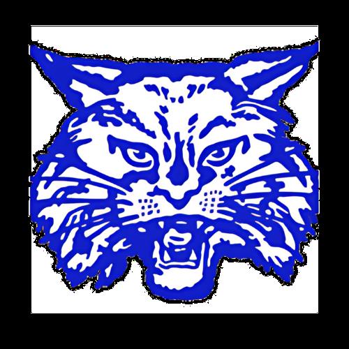 Colby Schniederjan mugshot