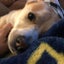 undefined undefined profile photo