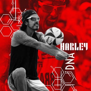 Harley Silva mugshot