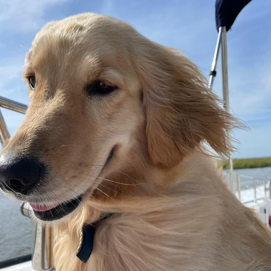 undefined undefined profile photo