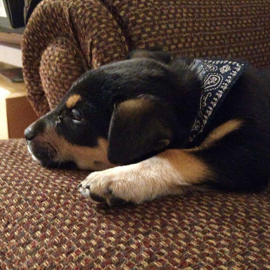 Jake Machula mugshot