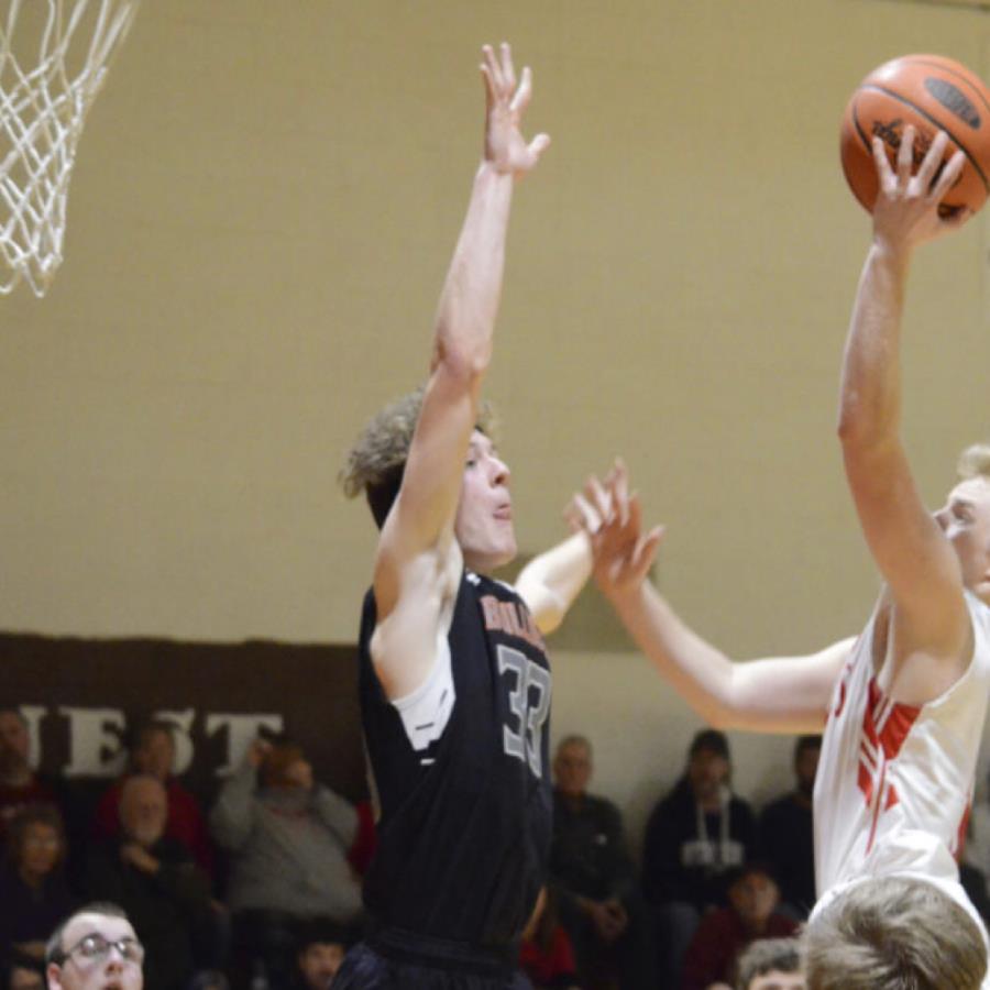 Amanda Shields mugshot