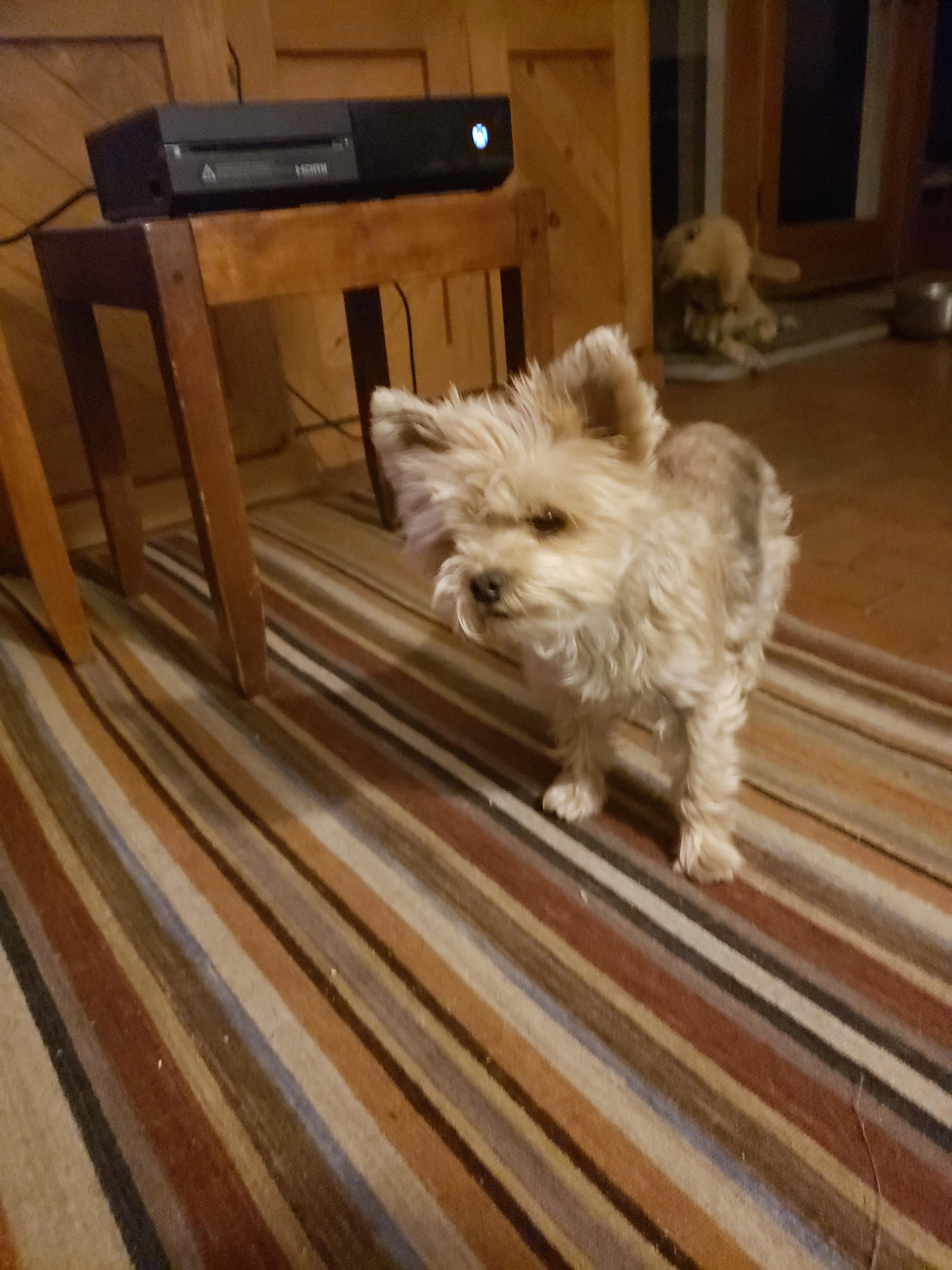 undefined undefined profile photo