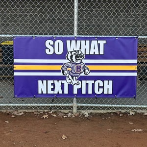 Joe Medlen Sr. mugshot