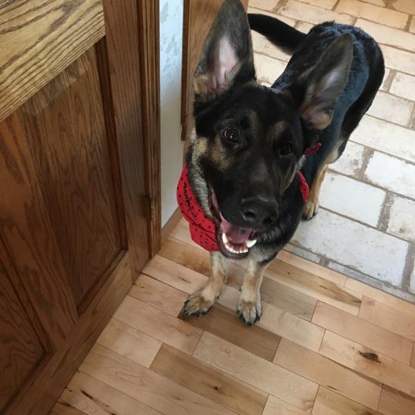 undefined undefined profile photo