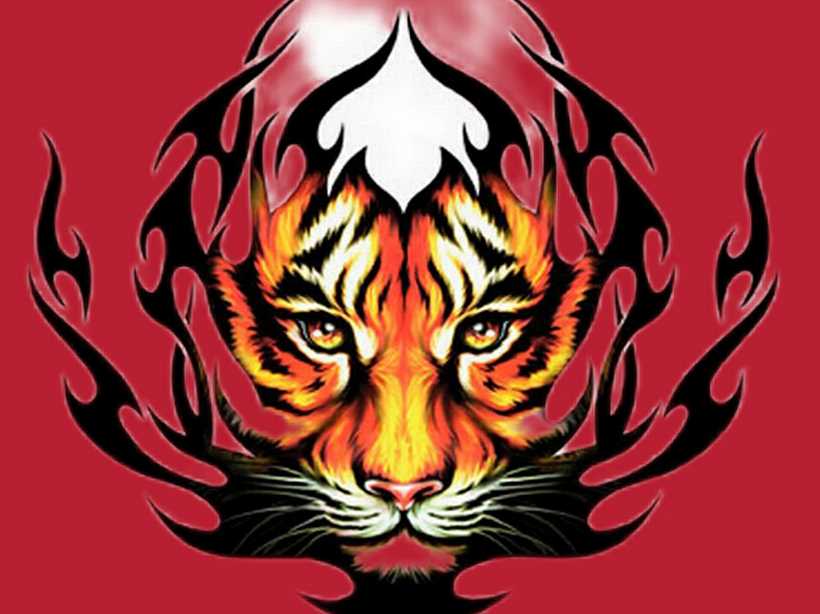 undefined undefined profile photo