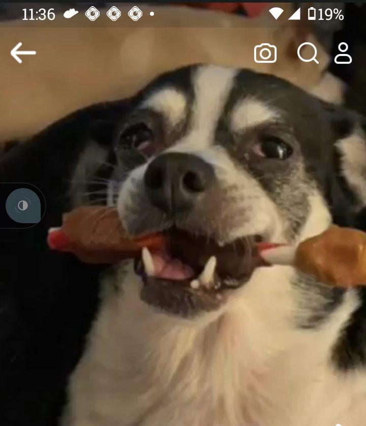 undefined undefined profile photo