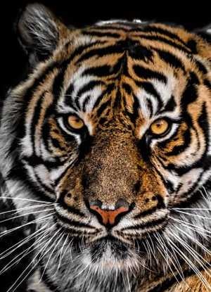 undefined undefined profile photo