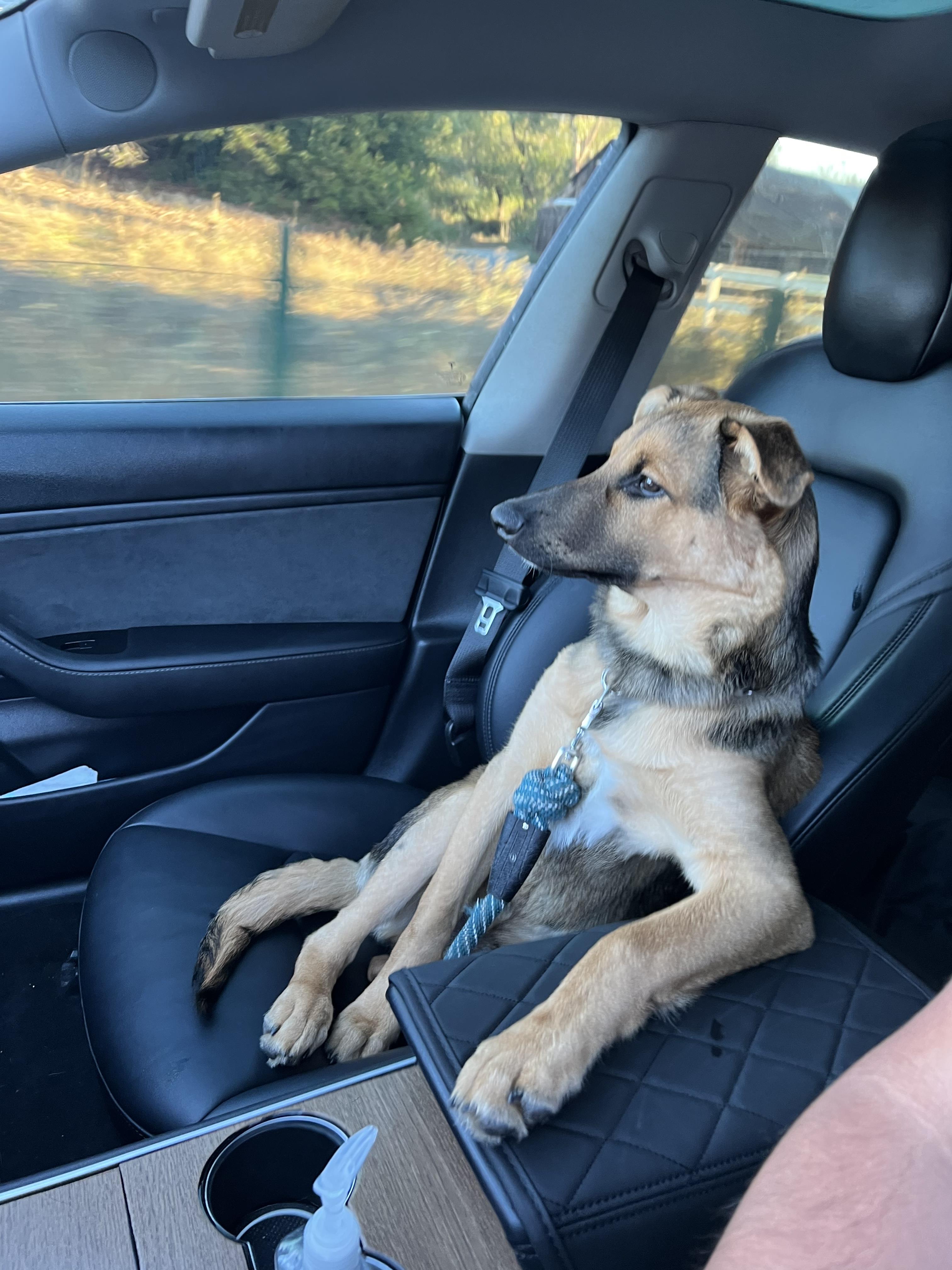 undefined undefined profile photo