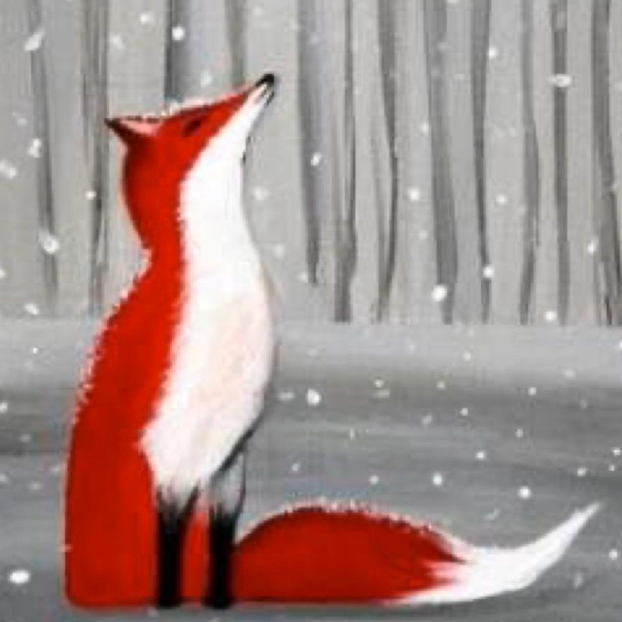 undefined undefined profile photo