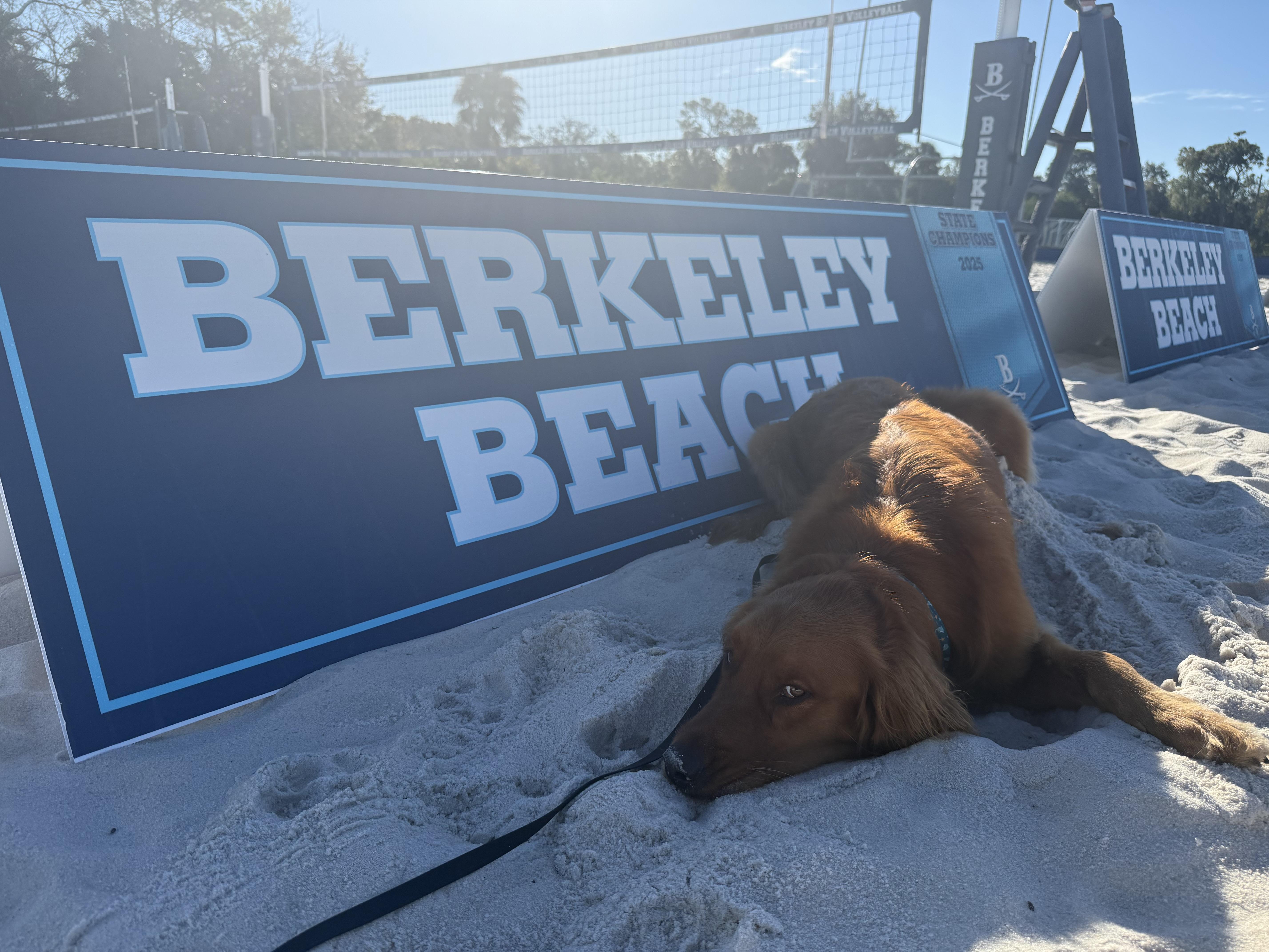 Livingstone Treumann mugshot