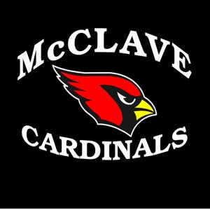 Melissa Steinbrunn mugshot