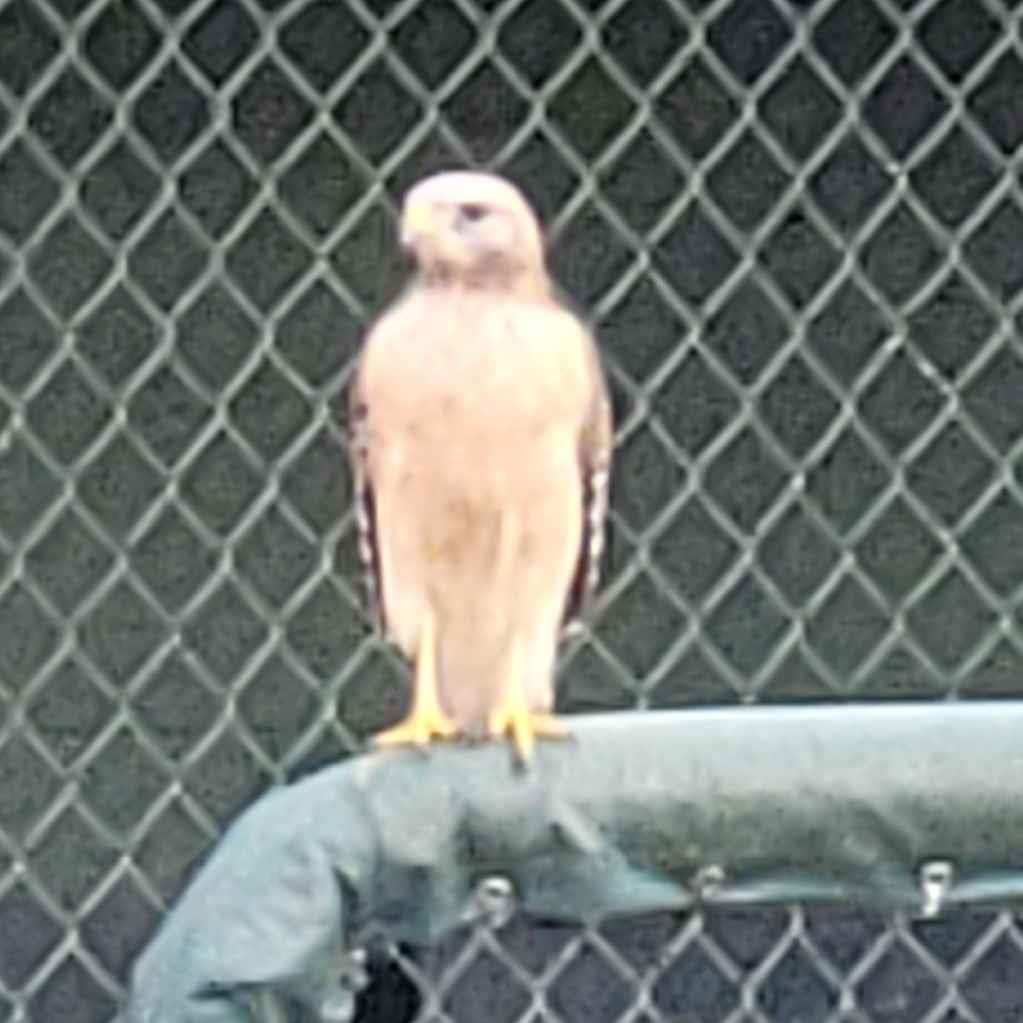 undefined undefined profile photo