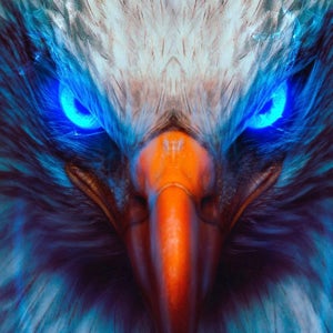 Keith McDonald mugshot