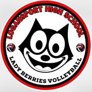 LHS Volleyball mugshot