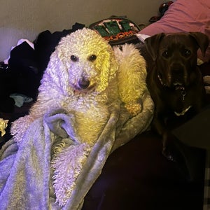 undefined undefined profile photo