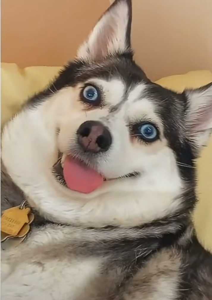 undefined undefined profile photo