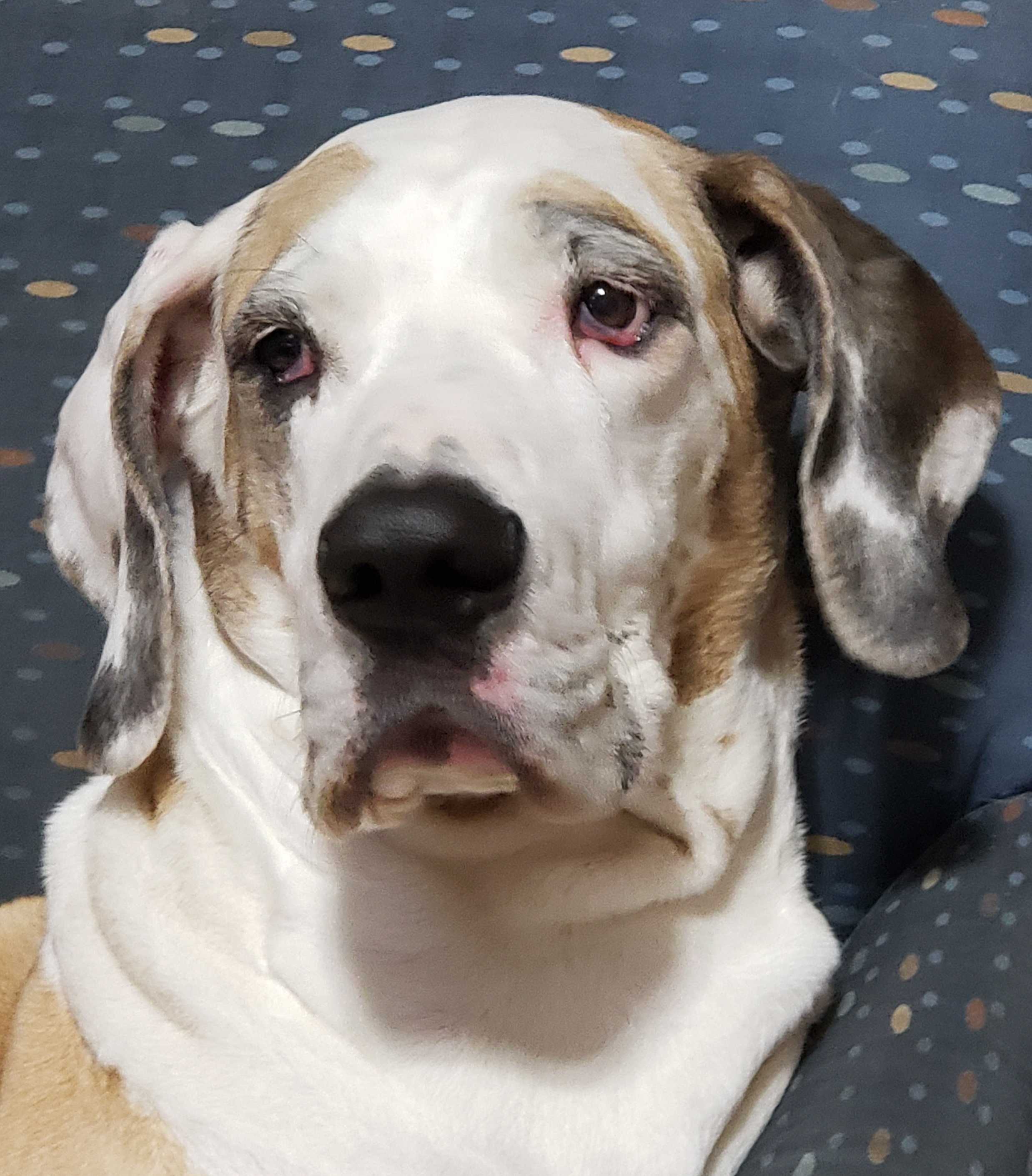 undefined undefined profile photo