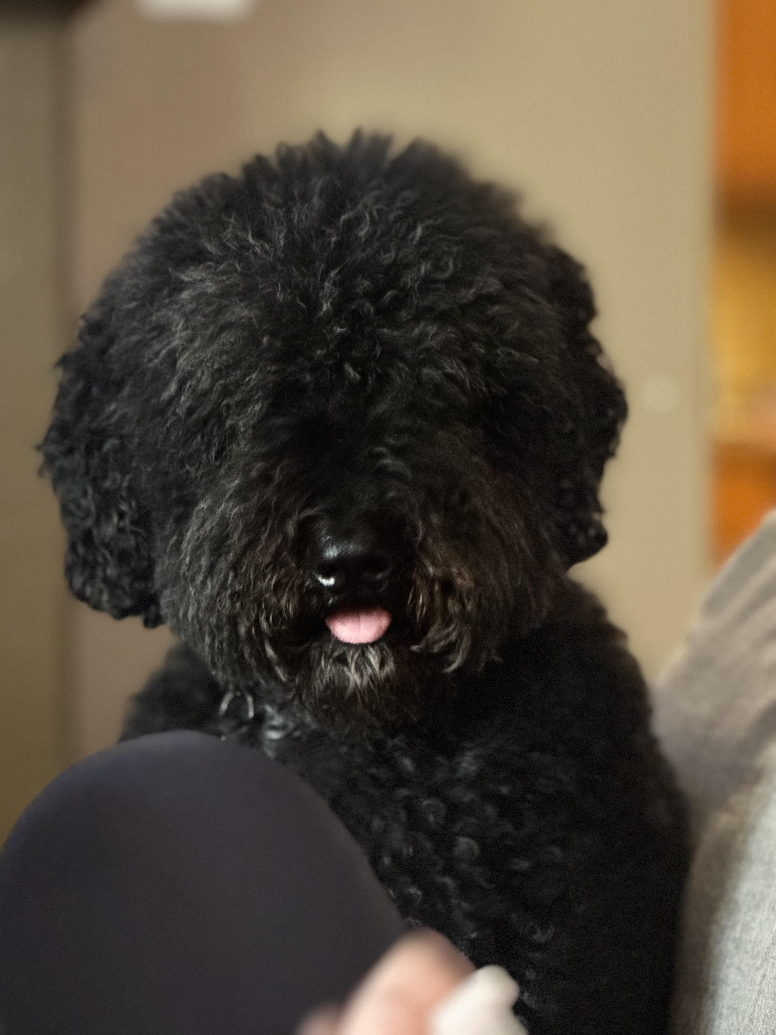 undefined undefined profile photo