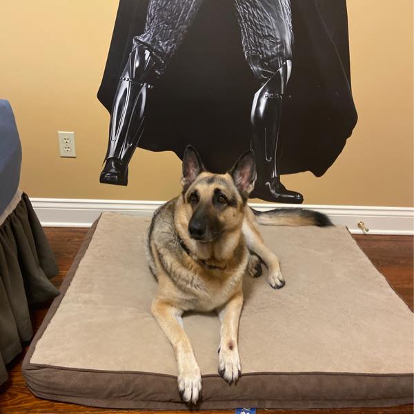 undefined undefined profile photo