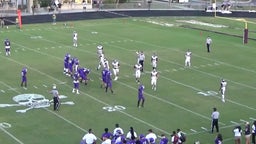 Damon Green's highlights Fletcher High School