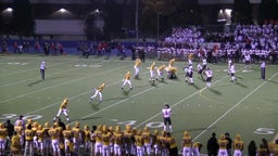 Palatine football highlights Lyons High School