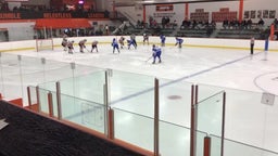 Minnetonka girls ice hockey highlights Farmington High School