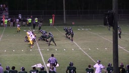 Micah Land's highlights Amite County High School