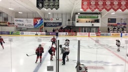 Chippewa Falls girls ice hockey highlights Medford High School