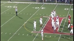 Lima Senior football highlights St. Francis de Sales High School