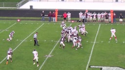 Dansville football highlights vs. Newark High School