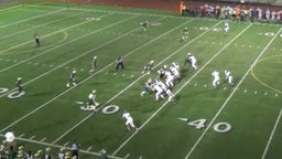 Shamar 'Malik' Woolery's highlights vs. Auburn High School