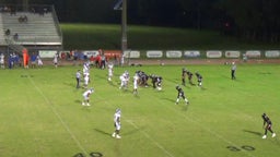 D'andre Lewis's highlights Cape Coral High School