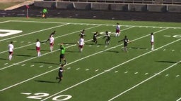 Navarro soccer highlights vs. Austin High School