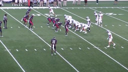 Jacolbi Wren's highlights Aldine Davis