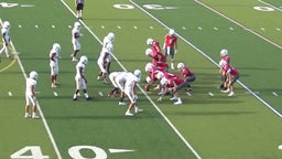 McLean football highlights Falls Church High School