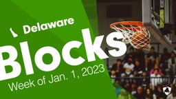 Delaware: Blocks from Week of Jan. 1, 2023
