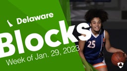 Delaware: Blocks from Week of Jan. 29, 2023