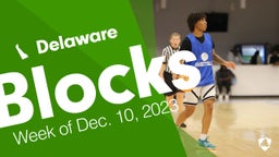 Delaware: Blocks from Week of Dec. 10, 2023