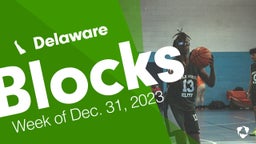 Delaware: Blocks from Week of Dec. 31, 2023